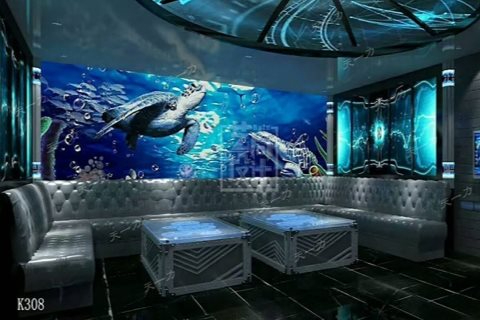 驻马店小时场ktv费用说明-西平县ktv预定